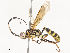  ( - CBG-A51872-G01)  @11 [ ] CreativeCommons - Attribution Share - Alike (2024) CBG Photography Group Centre for Biodiversity Genomics
