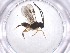  ( - CBG-A52072-E01)  @11 [ ] CreativeCommons - Attribution Share - Alike (2024) Centre for Biodiversity Genomics Centre for Biodiversity Genomics