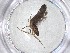 ( - CBG-A53363-H07)  @11 [ ] CreativeCommons - Attribution Share - Alike (2024) Centre for Biodiversity Genomics Centre for Biodiversity Genomics