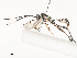  ( - CBG-A53645-B12)  @11 [ ] CreativeCommons - Attribution Share - Alike (2024) CBG Photography Group Centre for Biodiversity Genomics