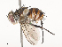  ( - CBG-A53645-E11)  @11 [ ] CreativeCommons - Attribution Share - Alike (2024) CBG Photography Group Centre for Biodiversity Genomics