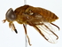  ( - BIOUG73629-E09)  @11 [ ] CreativeCommons - Attribution (2022) CBG Photography Group Centre for Biodiversity Genomics