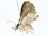  ( - BIOUG73629-F07)  @11 [ ] CreativeCommons - Attribution (2022) CBG Photography Group Centre for Biodiversity Genomics