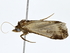  ( - BIOUG73629-G12)  @11 [ ] CreativeCommons - Attribution (2022) CBG Photography Group Centre for Biodiversity Genomics