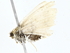  ( - BIOUG76543-D06)  @11 [ ] CreativeCommons - Attribution (2022) CBG Photography Group Centre for Biodiversity Genomics