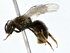  ( - BIOUG76543-G02)  @11 [ ] CreativeCommons - Attribution (2022) CBG Photography Group Centre for Biodiversity Genomics