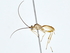  ( - BIOUG76544-A10)  @11 [ ] CreativeCommons - Attribution (2022) CBG Photography Group Centre for Biodiversity Genomics