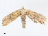  ( - CBG-A07092-F10)  @11 [ ] CreativeCommons - Attribution Share - Alike (2023) CBG Photography Group Centre for Biodiversity Genomics