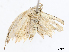  ( - CBG-A07093-A01)  @11 [ ] CreativeCommons - Attribution Share - Alike (2023) CBG Photography Group Centre for Biodiversity Genomics