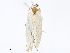  ( - CBG-A07093-G09)  @11 [ ] CreativeCommons - Attribution Share - Alike (2023) CBG Photography Group Centre for Biodiversity Genomics