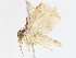 ( - CBG-A08729-D02)  @11 [ ] CreativeCommons - Attribution Share - Alike (2023) CBG Photography Group Centre for Biodiversity Genomics