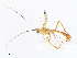  ( - CBG-A08731-C06)  @11 [ ] CreativeCommons - Attribution Share - Alike (2023) CBG Photography Group Centre for Biodiversity Genomics