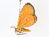  ( - CBG-A08731-C12)  @11 [ ] CreativeCommons - Attribution Share - Alike (2023) CBG Photography Group Centre for Biodiversity Genomics