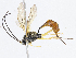  ( - CBG-A08731-E03)  @11 [ ] CreativeCommons - Attribution Share - Alike (2023) CBG Photography Group Centre for Biodiversity Genomics