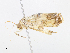 ( - CBG-A08731-G07)  @11 [ ] CreativeCommons - Attribution Share - Alike (2023) CBG Photography Group Centre for Biodiversity Genomics