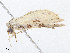  ( - CBG-A08733-D08)  @11 [ ] CreativeCommons - Attribution Share - Alike (2023) CBG Photography Group Centre for Biodiversity Genomics