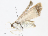  ( - CBG-A08790-E11)  @11 [ ] CreativeCommons - Attribution Share - Alike (2023) CBG Photography Group Centre for Biodiversity Genomics