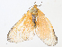  ( - CBG-A08791-D10)  @11 [ ] CreativeCommons - Attribution Share - Alike (2023) CBG Photography Group Centre for Biodiversity Genomics