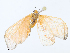  ( - CBG-A08791-D11)  @11 [ ] CreativeCommons - Attribution Share - Alike (2023) CBG Photography Group Centre for Biodiversity Genomics