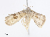  ( - CBG-A08791-F04)  @11 [ ] CreativeCommons - Attribution Share - Alike (2023) CBG Photography Group Centre for Biodiversity Genomics