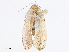  ( - CBG-A08791-F05)  @11 [ ] CreativeCommons - Attribution Share - Alike (2023) CBG Photography Group Centre for Biodiversity Genomics