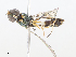  ( - CBG-A08792-F11)  @11 [ ] CreativeCommons - Attribution Share - Alike (2023) CBG Photography Group Centre for Biodiversity Genomics