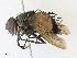  ( - CBG-A30961-D11)  @11 [ ] CreativeCommons - Attribution Share - Alike (2024) CBG Photography Group Centre for Biodiversity Genomics