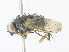  ( - CBG-A30976-G11)  @11 [ ] CreativeCommons - Attribution Share - Alike (2024) CBG Photography Group Centre for Biodiversity Genomics