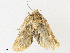  (Pastona Malaise7966 - CBG-A30979-A12)  @11 [ ] CreativeCommons - Attribution Share - Alike (2024) CBG Photography Group Centre for Biodiversity Genomics