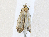  ( - CBG-A30979-F02)  @11 [ ] CreativeCommons - Attribution Share - Alike (2024) CBG Photography Group Centre for Biodiversity Genomics