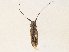  ( - CBG-A30060-A02)  @11 [ ] CreativeCommons - Attribution Share - Alike (2024) CBG Photography Group Centre for Biodiversity Genomics