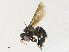  ( - CBG-A30060-E05)  @11 [ ] CreativeCommons - Attribution Share - Alike (2024) CBG Photography Group Centre for Biodiversity Genomics