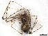  ( - CBG-A30060-H03)  @11 [ ] CreativeCommons - Attribution Share-Alike (2024) CBG Photography Group Centre for Biodiversity Genomics