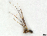  ( - CBG-A30061-H08)  @11 [ ] CreativeCommons - Attribution Share-Alike (2024) CBG Photography Group Centre for Biodiversity Genomics
