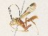  ( - CBG-A30989-C02)  @11 [ ] CreativeCommons - Attribution Share - Alike (2024) CBG Photography Group Centre for Biodiversity Genomics