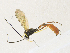  ( - CBG-A30990-C06)  @11 [ ] CreativeCommons - Attribution Share - Alike (2024) CBG Photography Group Centre for Biodiversity Genomics