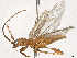  ( - CBG-A30991-D04)  @11 [ ] CreativeCommons - Attribution Share-Alike (2024) CBG Photography Group Centre for Biodiversity Genomics