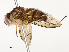  ( - CBG-A51968-A06)  @11 [ ] CreativeCommons - Attribution Share - Alike (2024) CBG Photography Group Centre for Biodiversity Genomics