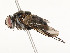  ( - CBG-A54484-E05)  @11 [ ] CreativeCommons - Attribution Share - Alike (2024) CBG Photography Group Centre for Biodiversity Genomics