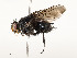  ( - CBG-A54484-E08)  @11 [ ] CreativeCommons - Attribution Share - Alike (2024) CBG Photography Group Centre for Biodiversity Genomics