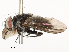  ( - CBG-A54494-B08)  @11 [ ] CreativeCommons - Attribution Share - Alike (2024) CBG Photography Group Centre for Biodiversity Genomics