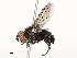  ( - CBG-A54494-E10)  @11 [ ] CreativeCommons - Attribution Share - Alike (2024) CBG Photography Group Centre for Biodiversity Genomics