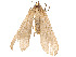 ( - CBG-A51968-G09)  @11 [ ] CreativeCommons - Attribution Share - Alike (2024) CBG Photography Group Centre for Biodiversity Genomics