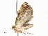  ( - CBG-A54485-D03)  @11 [ ] CreativeCommons - Attribution Share - Alike (2024) CBG Photography Group Centre for Biodiversity Genomics