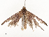  ( - CBG-A58601-G03)  @11 [ ] CreativeCommons - Attribution Share - Alike (2024) CBG Photography Group Centre for Biodiversity Genomics