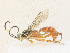  ( - CBG-A36778-B02)  @11 [ ] CreativeCommons - Attribution Share - Alike (2024) CBG Photography Group Centre for Biodiversity Genomics