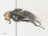  ( - CBG-A36778-B09)  @11 [ ] CreativeCommons - Attribution Share - Alike (2024) CBG Photography Group Centre for Biodiversity Genomics
