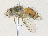  ( - CBG-A36778-C04)  @11 [ ] CreativeCommons - Attribution Share - Alike (2024) CBG Photography Group Centre for Biodiversity Genomics