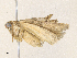  ( - CBG-A36779-H03)  @11 [ ] CreativeCommons - Attribution Share - Alike (2024) CBG Photography Group Centre for Biodiversity Genomics