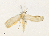  ( - CBG-A36782-G04)  @11 [ ] CreativeCommons - Attribution Share - Alike (2024) CBG Photography Group Centre for Biodiversity Genomics